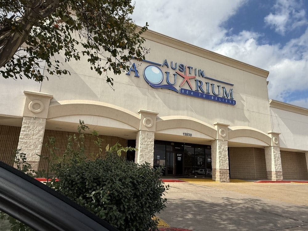 Austin Aquarium Tickets - Photo 1 of 13